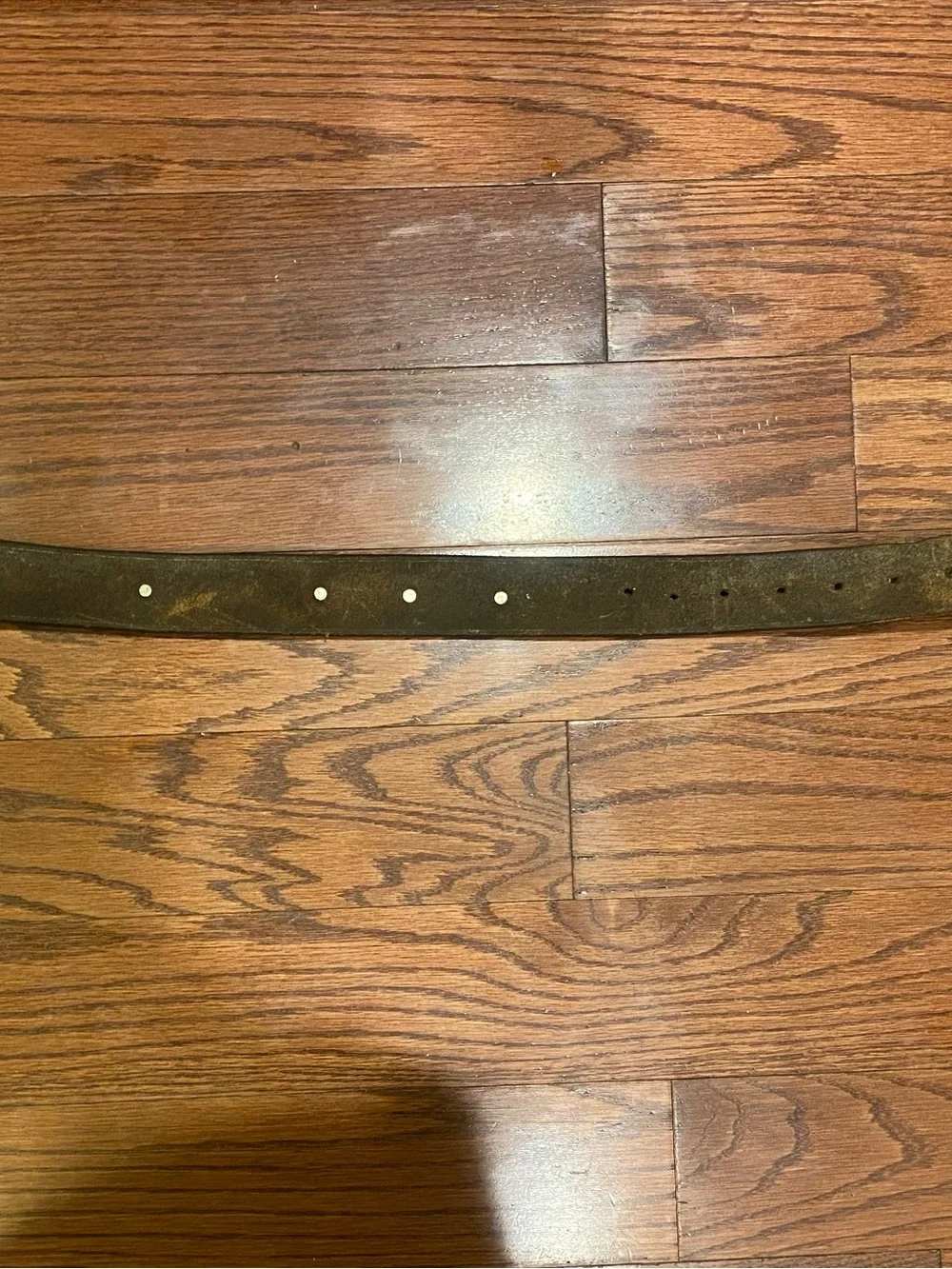 Vintage Western Cowboy Belt Brown Leather w/Floral Gold & Silver Accents Worn